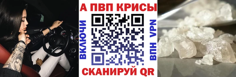 где найти   Новокубанск  ОМГ ОМГ как войти  А ПВП СК КРИС 
