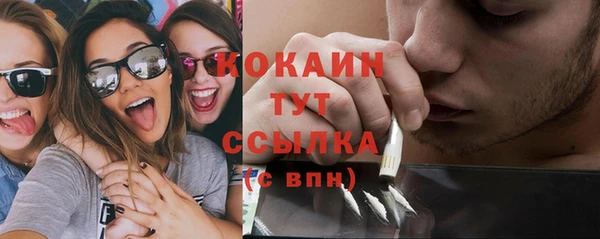 гашик Переславль-Залесский