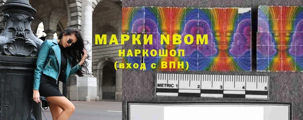 гашик Верея