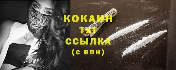 эйфоретик Пересвет