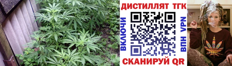 ТГК THC oil  дарк нет как зайти  Новокубанск 