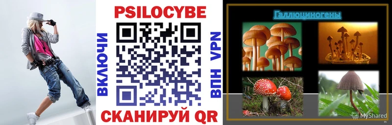 дарнет шоп  кракен ONION  Галлюциногенные грибы Psilocybine cubensis  Новокубанск 